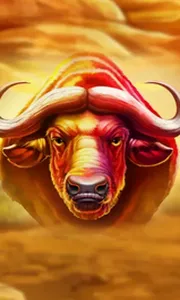 Buffalo Hold and Win Extreme